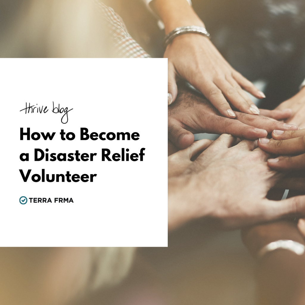 How to a Disaster Relief Volunteer Terra Frma