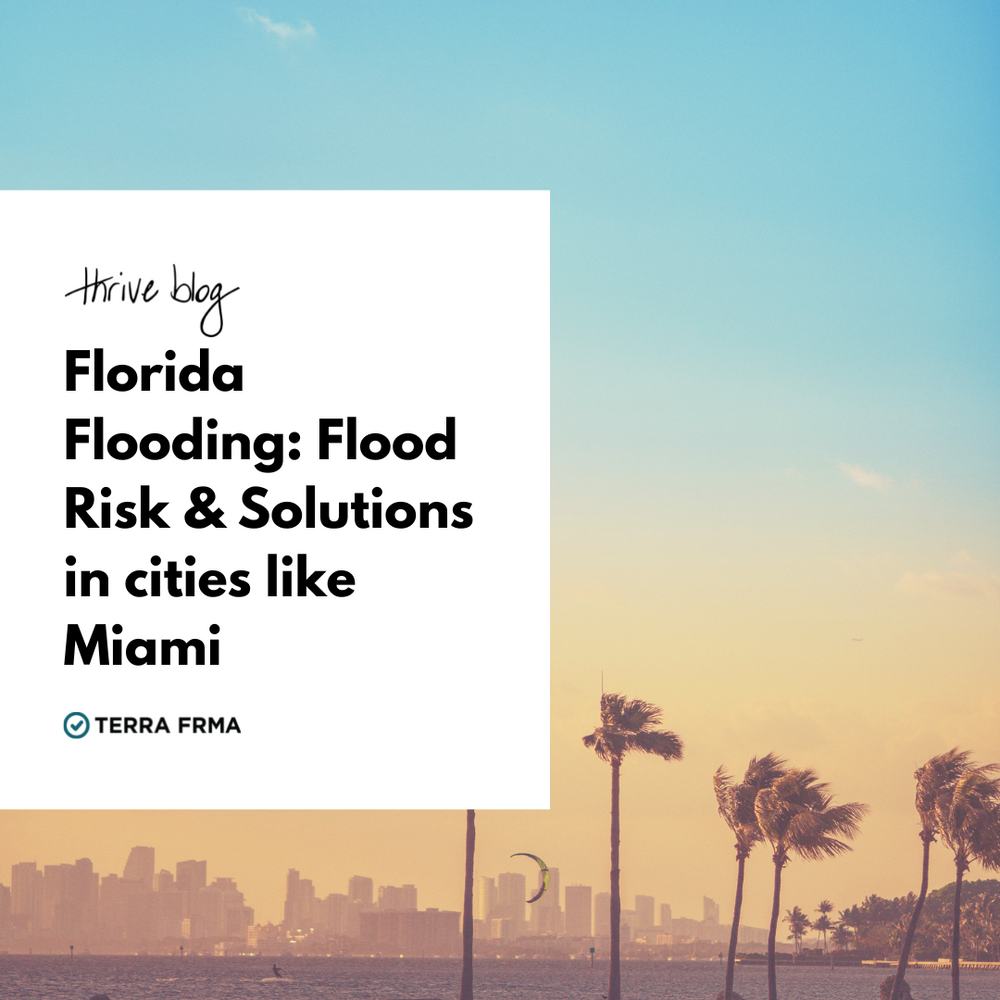 Florida Flooding: Flood Risk & Mitigation Efforts – Terra Frma