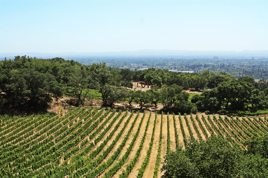 Safe Travel in Santa Rosa, CA – Terra Frma